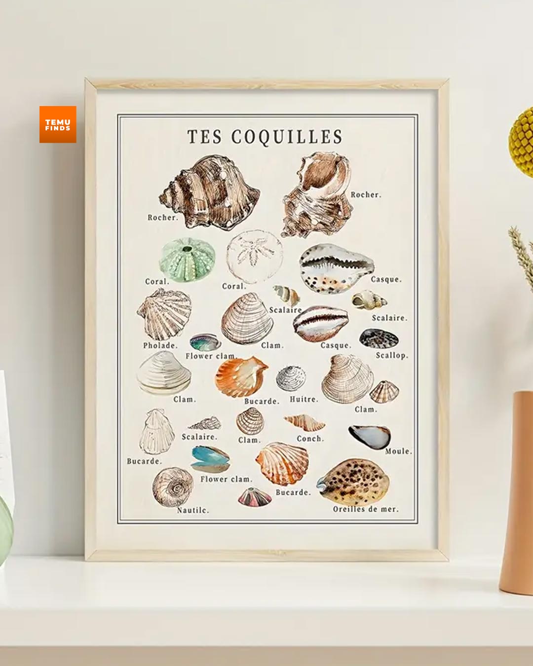 Bohemia Beach Canvas Poster with Frame - Shell & Starfish